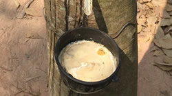 【集團新聞】保障供應(yīng)，住友橡膠成立新加坡子公司